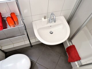 Apartamento Neustadt an der Weinstraße Características 30