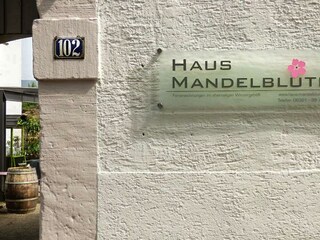 Appartement Neustadt an der Weinstraße Buitenaudio-opname 5