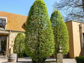 Apartamento Neustadt an der Weinstraße Grabación al aire libre 21