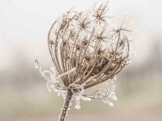 Winter Impressionen