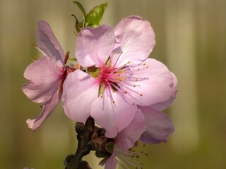 Apartamento Neustadt an der Weinstraße Grabación al aire libre 6