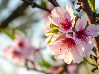 Apartamento Neustadt an der Weinstraße Grabación al aire libre 16