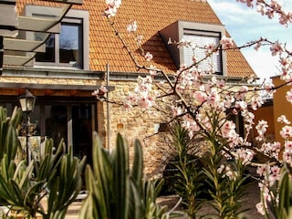 Appartamento Neustadt an der Weinstraße Registrazione all'aperto 18