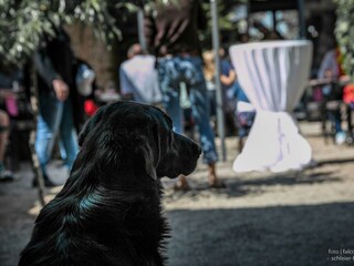 Unser Weinfest an Pfingsten