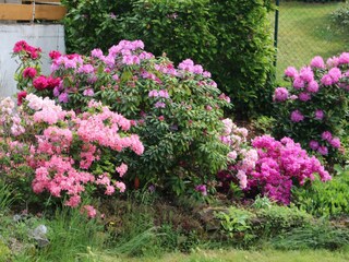 Appartement Pirmasens Enregistrement extérieur 3