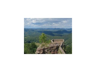 Apartamento Ludwigswinkel Grabación al aire libre 9