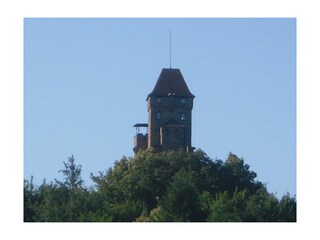 Blick zur Burg Berwartstein