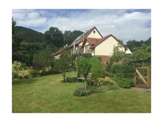 Apartamento Schönau (Pfalz) Grabación al aire libre 4