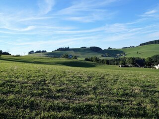 Holiday apartment Breitnau Environment 21