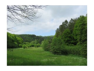 Appartamento Horbach Registrazione all'aperto 19