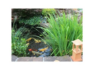 Appartamento Schindhard Registrazione all'aperto 7