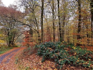 Appartamento Geiselberg Registrazione all'aperto 19