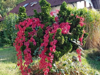 Apartamento Geiselberg Grabación al aire libre 20