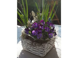 Appartamento Geiselberg Registrazione all'aperto 16