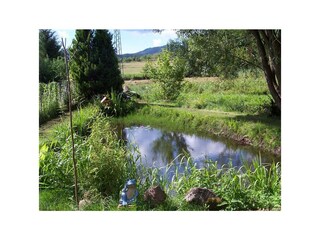 Appartamento Fischbach Registrazione all'aperto 3