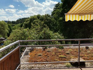 Appartement Fischbach Kenmerken 38