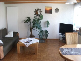 Apartamento Fischbach Características 36