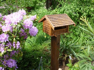 Appartamento Fischbach Registrazione all'aperto 5