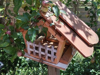 Appartement Fischbach Kenmerken 40