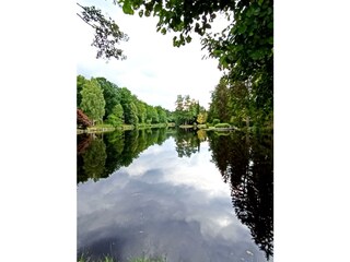 Appartamento Fischbach Registrazione all'aperto 19