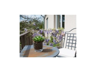 Appartement Mauscbach Buitenaudio-opname 20