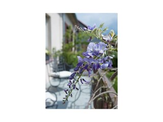 Apartamento Mauscbach Grabación al aire libre 10