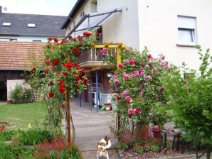 Appartement/Location de vacances, douche, WC, 2 chambres à coucher - Bruchweiler-Bierenbach - image1