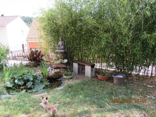 Appartement Trulben Buitenaudio-opname 8