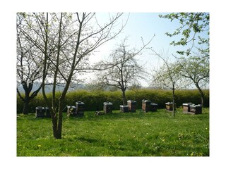 Apartamento Krähenberg Grabación al aire libre 6