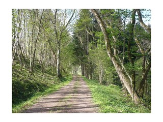 Apartamento Krähenberg Características 21