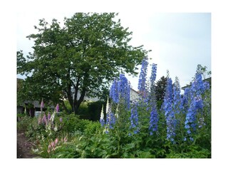 Appartement Krähenberg Kenmerken 24