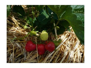 Appartement Krähenberg Buitenaudio-opname 15