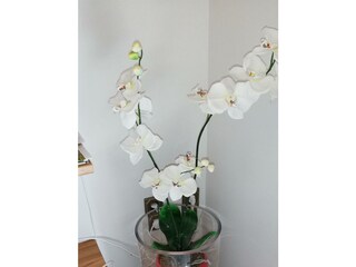 Apartamento Rodalben Grabación al aire libre 18