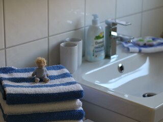 Appartamento Merzalben Caratteristiche 38