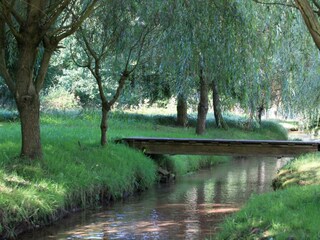 Appartamento Merzalben Registrazione all'aperto 6