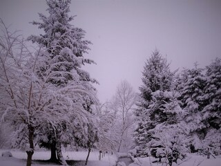 Appartamento Merzalben Registrazione all'aperto 9