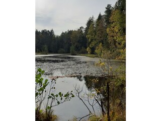 Appartement Ludwigswinkel Buitenaudio-opname 9