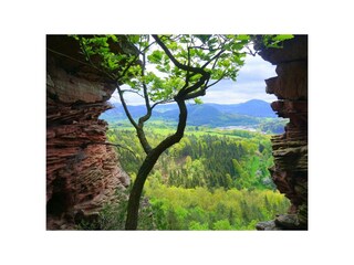 Appartement Ludwigswinkel Buitenaudio-opname 4