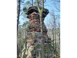 Appartement Ludwigswinkel Buitenaudio-opname 14