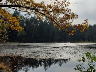 Appartement Ludwigswinkel Buitenaudio-opname 15