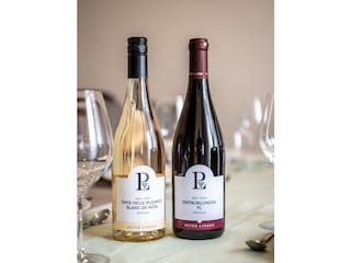 Weingut Peter Lingen-2023-017-Ferienwohnung Kircht