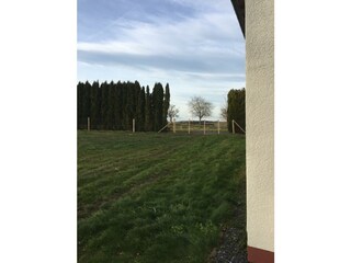 Wiese hinter dem Haus komplett eingezäunt