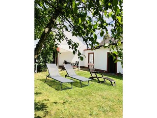 Terrasse und angrenzende Wiese