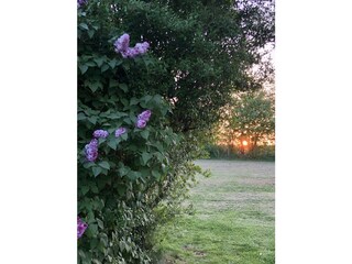 Sonnenuntergang im Mai