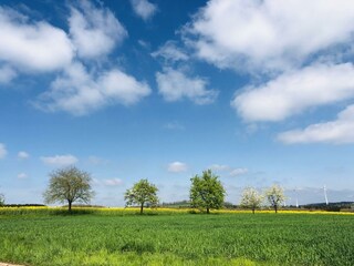 Farbenfroher Frühling am Ferienhaus