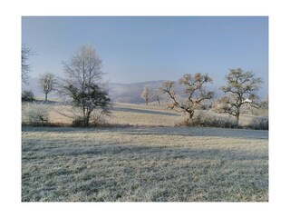 Appartamento Holsthum Registrazione all'aperto 13