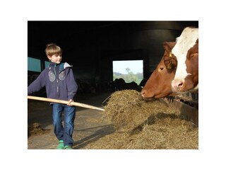 Aktivurlaub - Bauernhof