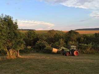 Erntezeit - Spätsommer