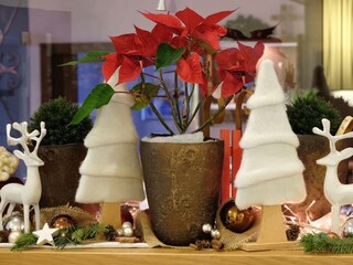 Weihnachtsdekoration