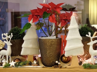 Weihnachtsdekoration